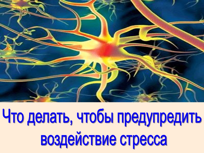 Что делать, чтобы предупредить  воздействие стресса